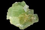 Light-Green, Cubic Fluorite Crystal Cluster - Morocco #174004-1